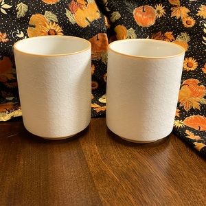 Set of 2 Teacups